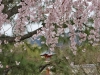 ki25apr02