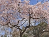ki25apr05