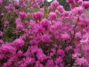 sw25apr04