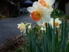 sw25apr05