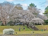 ym25apr03