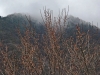 yt25apr03