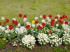 ak25may02