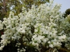 ak25may04