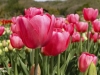 ki25may04