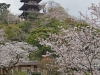 kt25may03