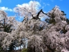 yt25may03