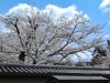 yt25may04