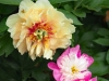tm25jun04
